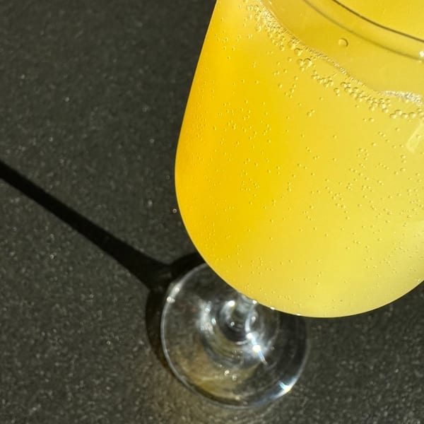Close-up of a mimosa in a champagne flute, with bubbles and a dark background.